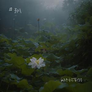 我终于不等你了