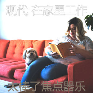 甜美的焦点片刻