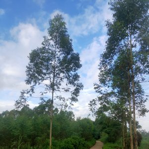 岁月的时间 舞(国语版)