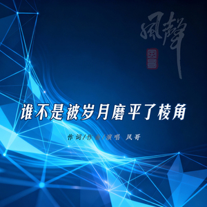 谁不是被岁月磨平了棱角