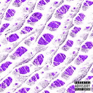 ROOFLESS (feat. Reptilian God Mana)