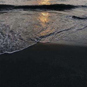 笨鸟prod.Dough-boy