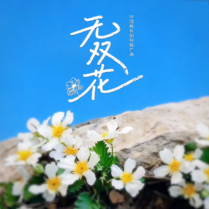 无双花（童声版）