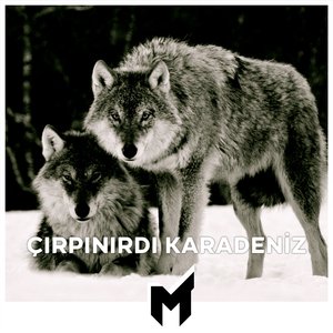 Çırpınırdı Karadeniz