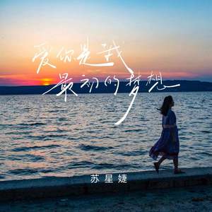 爱你是我最初的梦想 (合唱live版)