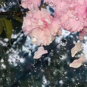 偏爱（吉他版 / 仙剑奇侠传三）