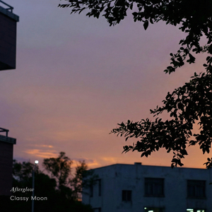 Echoes Carried by the Afterglow