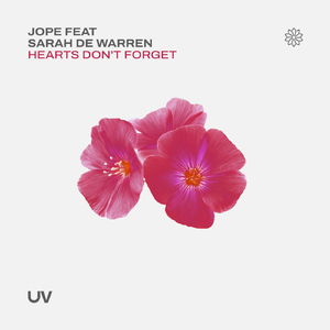 Hearts Don't Forget (Extended Mix)