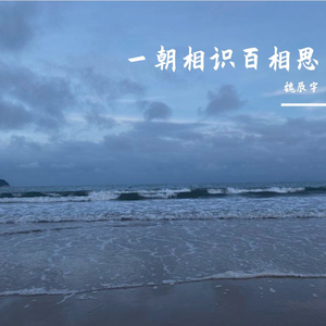 一朝相识百相思 (DJ 国会鼓版)