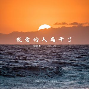 说爱的人离开了