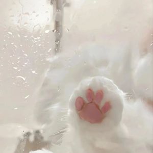 有你在