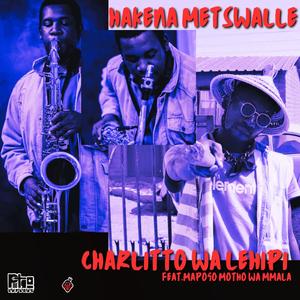 Hakena Metswalle (feat. Mapogo Motho Wa Mmala)