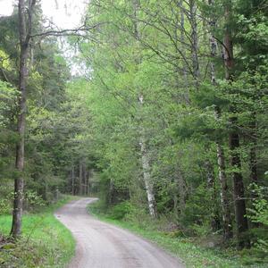 Hemtrevnad (feat. Lasse Fröidstedt)