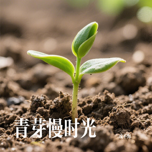 青芽慢时光