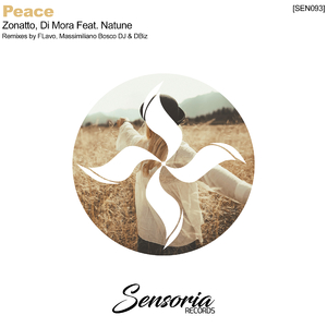 Peace (Massimiliano Bosco Dj & DBiz Remix)