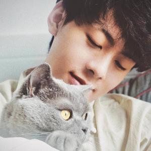 向日葵——赵成晨2020填翻生贺曲（翻自 刘妍菲）