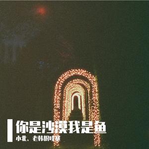 你是沙漠我是鱼