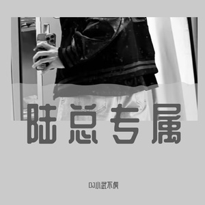 祁念-小武为工业第一深情陆总专属打造（小武不虎 remix）