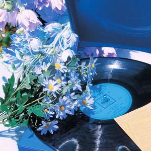 何以歌(cover aki阿杰)