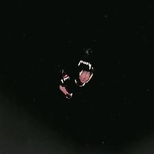 Ahhhhhhh