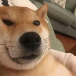 第一百零一首诗（翻自 爱写歌的小田）