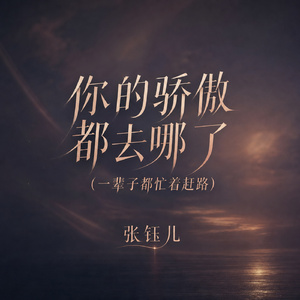 你的骄傲都去哪了(一辈子都忙着赶路)