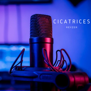 Cicatrices