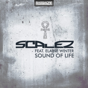 Sound of Life (Original Mix)