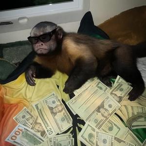 Sandro Malandro - Aguita