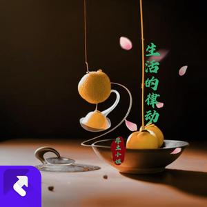 生活的律动（DJ舞曲纯音乐）