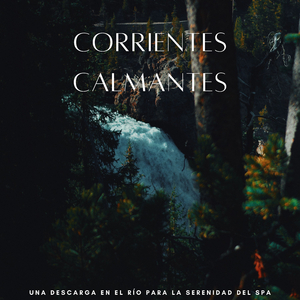 Las Corrientes Relajantes Envuelven El Cuerpo