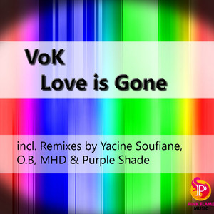 Love Is Gone (MHD Remix)