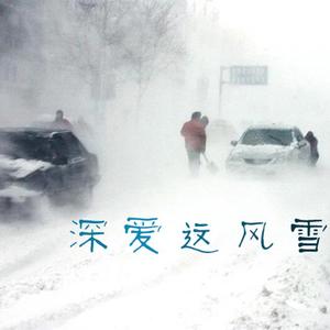 深爱这风雪