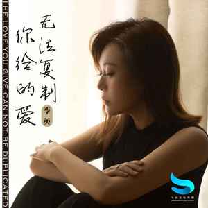 你给的爱无法复制