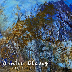 Winter Gloves