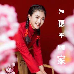 为甚不回家 (DJ版)
