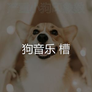 抚慰的训练你的狗回忆