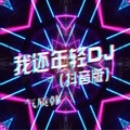 曲终人散DJ
