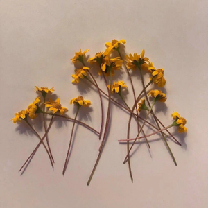 我们不是一类prod by Neon Musi）