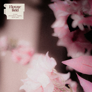 Flowerfield