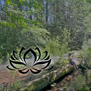 Strangers In The Room