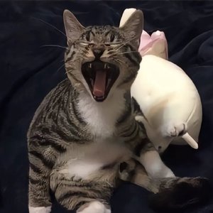 淡入淡出-光年外的孤独