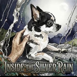 Inside the silver rain