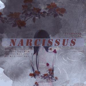 Narcissus