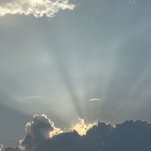 想自由（为将来的难测就放弃这一刻）