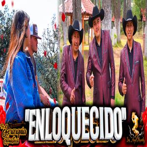 Enloquecido