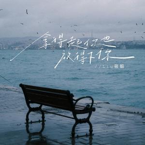 拿得起你也放得下你 (烟嗓版)