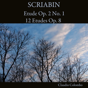 No. 7 in B-Flat Minor. Presto tenebroso, agitato