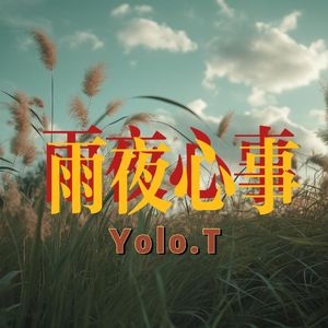 雨夜心事