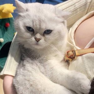 NINEONE#-I don't wanna see u anymore（翻自 NINEONE#） （NINEONE# remix）